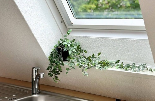 Schneverdingen Apartment | Cozy, quiet apartment - close to the center, the heath and the Heide Park!