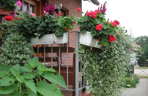 Rathenow Apartment | Cozy, quiet vacation apartment with lots of space in beautiful Havelland