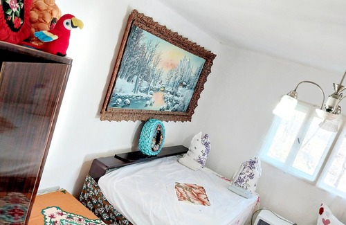 Rosia Montana Bed & Breakfast | Cozy Retreat Casa Mountain Sanctuary ,Roşia Montana,Romania