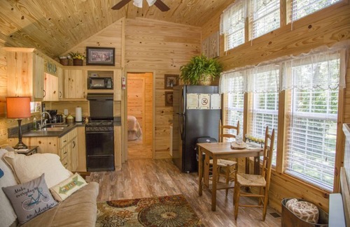 Barren Springs Cabin | Cozy Riverfront Tiny Home! Couple's Retreat - 1BS2