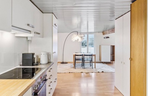 Dietikon District Apartment | Cozy Studio Charm Sum