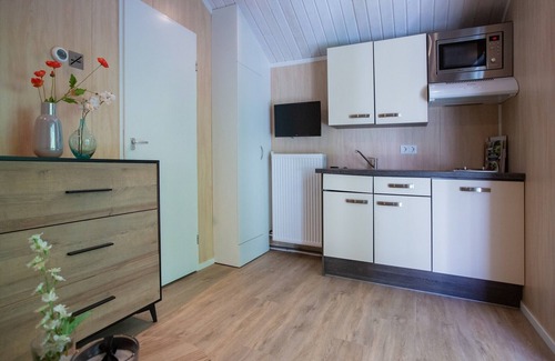 Oirschot Ski Chalet | Cozy Tiny House with a nice terrace near Eindhoven
