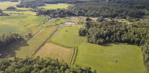 Powassan Other | Cozy Yurt on a Heritage Farm with Trails, Pond, and Sauna