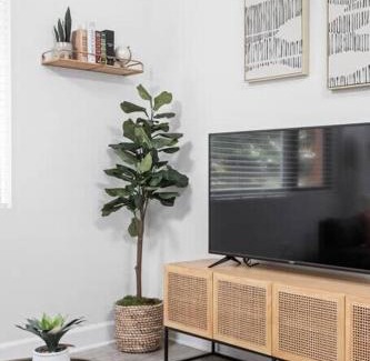Meridian-Kessler Apartment | CozySuites Modern Studio in Meridian Kessler