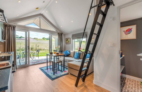 East Woodyates Cottage | Cranbourne Chase Stargazer - UKC6914