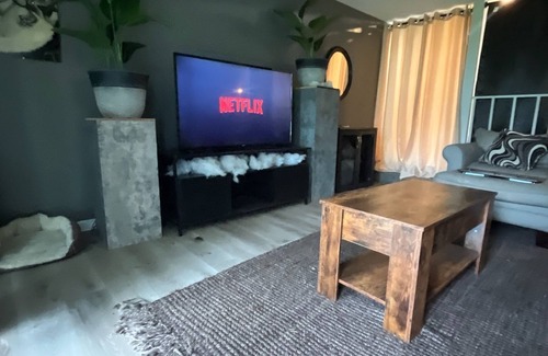 Canton Apartment | Creative, Remote, & Pet-friendly Stay with everything you need at arms reach