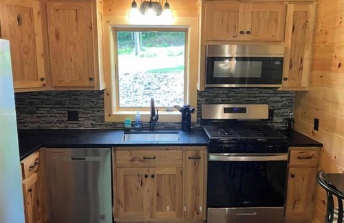 Remsen Cabin | Creekside Cabin with Lake Access , Brand new build !