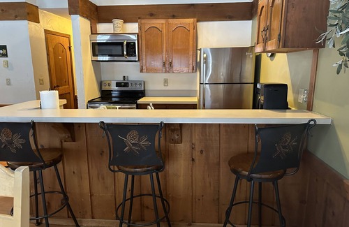 Thompsonville Condo | Crystal Mtn Condo, walk to lift, soaking tub, short drive to Iron Fish & Lk MI
