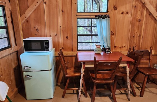 Dryden Cabin | Cub Cabin: Charming cabin with WiFi in Freeville - perfect for a cozy getaway