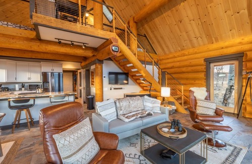 Placerville Cabin | Custom log home in Telluride with epic mountain views