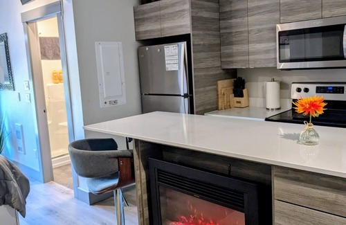 Vernon Apartment | Cute n Cozy Luxury Suite and Okanagan Lake front access