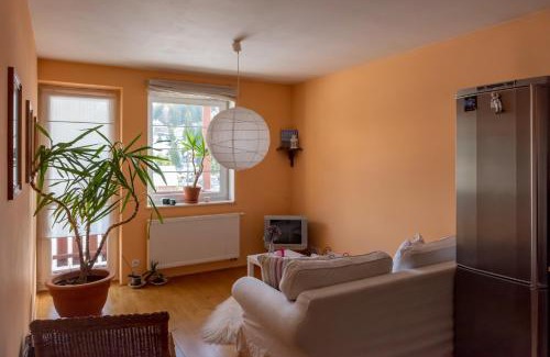 Albrechtice v Jizerskych horach Apartment | Apartmán Albrechtice