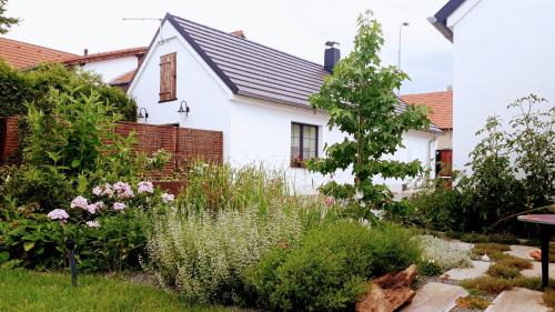 Stara Boleslav House | Onefourfour Apartment