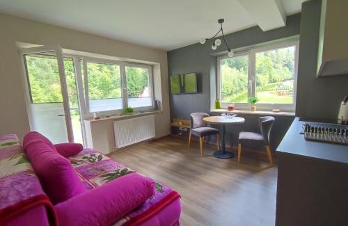 Porabka Apartment | Czarodziejska Góra Kozubnik Daglezja