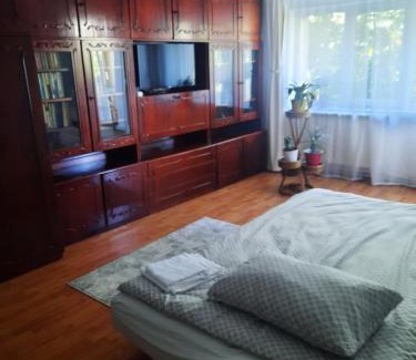 Sfantu Gheorghe Apartment | DÉNY APARTMAN