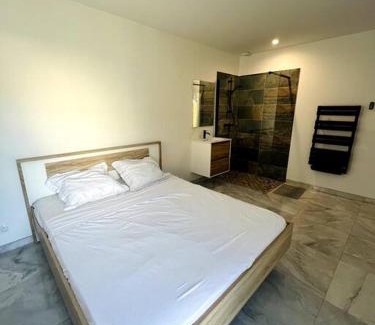 Saint-Andre-de-Sangonis Villa | Détente et Plaisir : Villa Moderne avec Piscine