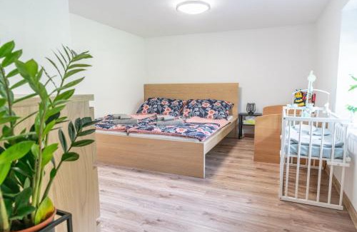 Bystre House | Dům č. 28