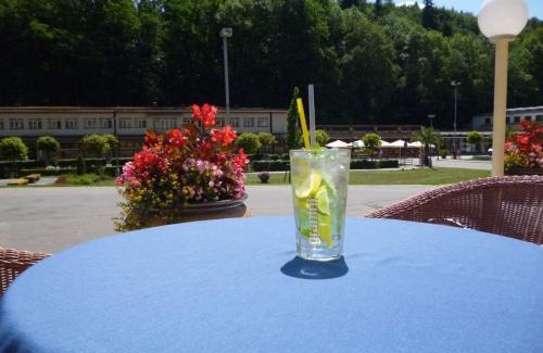 Luhacovice Hotel | Dům Bedřicha Smetany