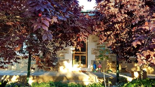 Upper Wakefield House | D2 at Watervale