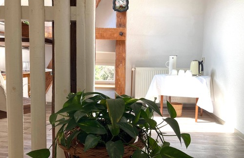 Schlamau Apartment | "Dachstudio - Schlamau19" Apartment with Shared Terrace and Shared Garden