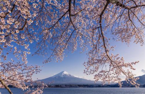 Minamitsuru-gun House | Daikokuya Mt.Fuji