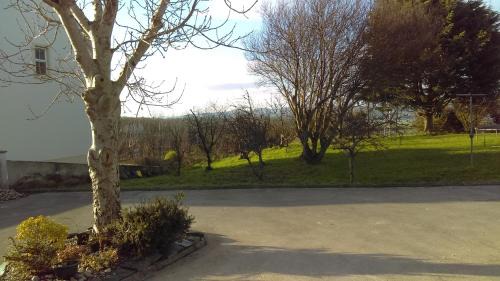 Manorcunningham Apartment | Daleview Apartment