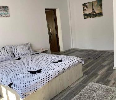 Tulcea Apartment | Dana Studio