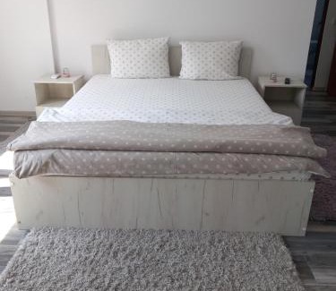 Tulcea Apartment | Dana Studio