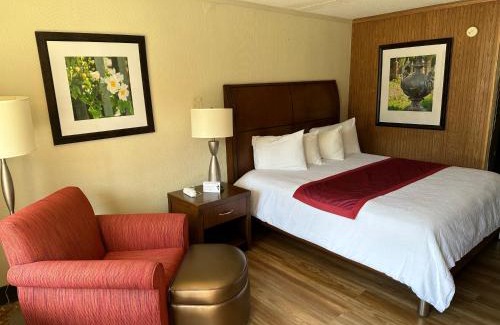 Coal Run Village Hotel | Daniel Boone Motor Inn