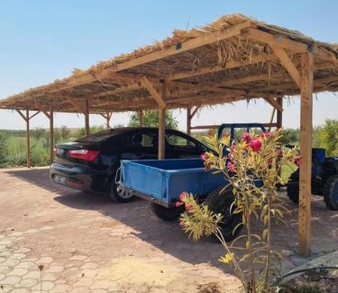 Gabes Villa | Dar Jamila - Au coeur de l'Oasis -