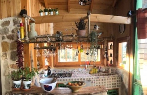 Hammam Bent Djedidi House | Dar Lela, in the middle of beautiful nature