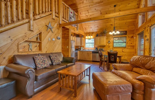 Caton Cabin | Dare To Bear: Are You Ready for a Beary Good Time in the Smokies?