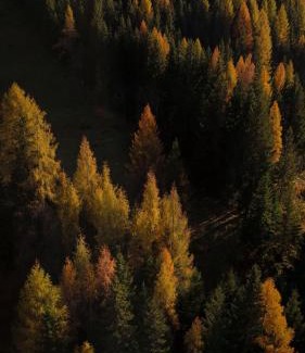 Unterberg Hotel | DAS EDELWEISS - Salzburg Mountain Resort