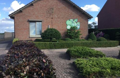 Boorsem Apartment | De achtertuin