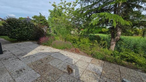 Sexbierum Apartment | De Bascule