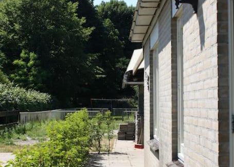 Castricum House | De Bosrand grenzend aan het bos