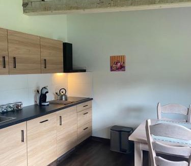 Odoorn Apartment | De Dennen
