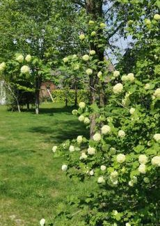 Everbeek House | De Groene Hoeve