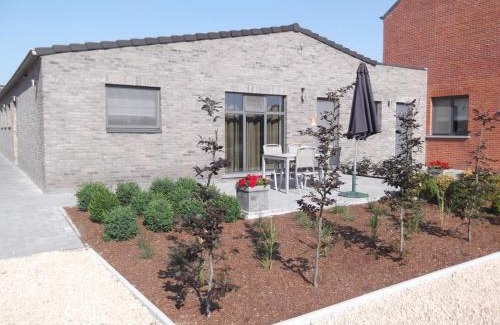 Lichtaart House | De Schaapskooi