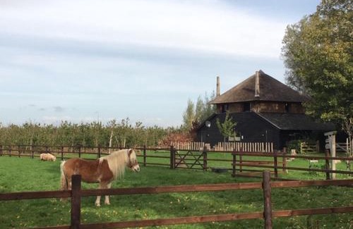 Zoelen House | De Steltenberg in de Betuwe