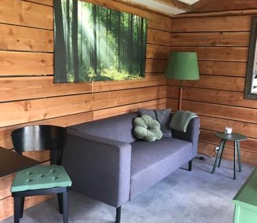 Jonkerslan Ski Chalet | De Túnfûgel (tiny house)