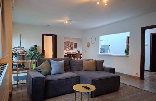 Wijgmaal House | De Volkswasserij, woning met tuin