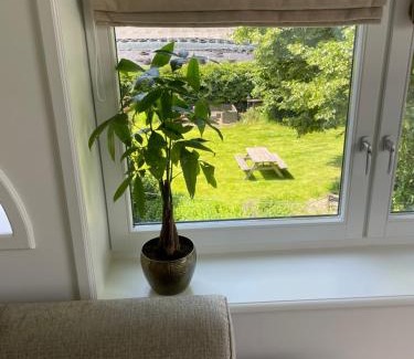Baarsdorpermeer Bed & Breakfast | de Zuiderstolp