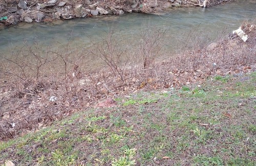 Yawkey Apartment | Deer Duplex Buck Side near Hatfield McCoy Ivy Branch Trails - 4 Bedrooms