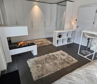 Walchwil Apartment | Dein Traum direkt am See