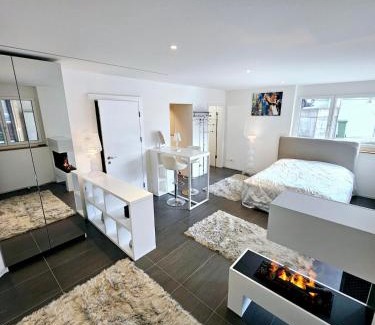 Walchwil Apartment | Dein Traum direkt am See