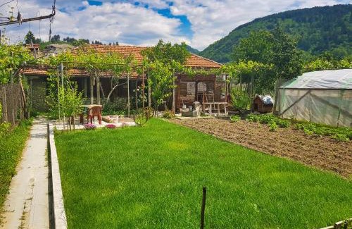 Ognyanovo House | Delieva House