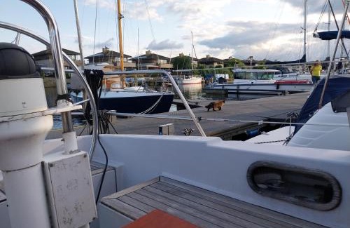 Nagele Boat Rental | Delight