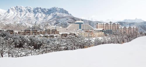Toseong Resort | Delpino
