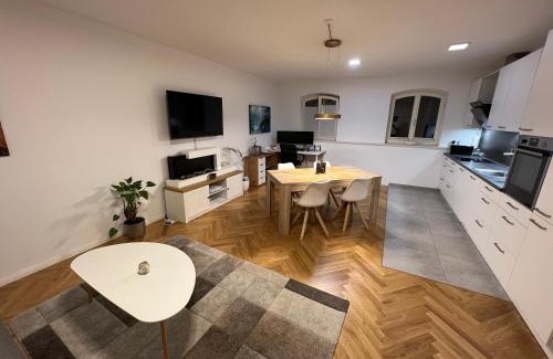 Giebichenstein Apartment | Deluxe Apartments mit Arbeitsplatz im Denkmalhaus, beste und ruhige zentrale Lage von Halle Saale WE1